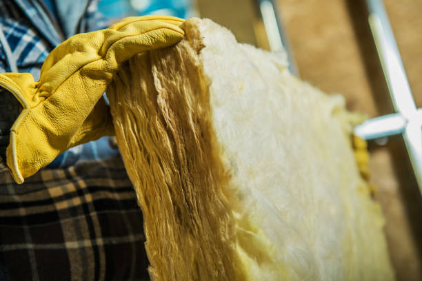 Best Insulation Removal  in Gambier, OH